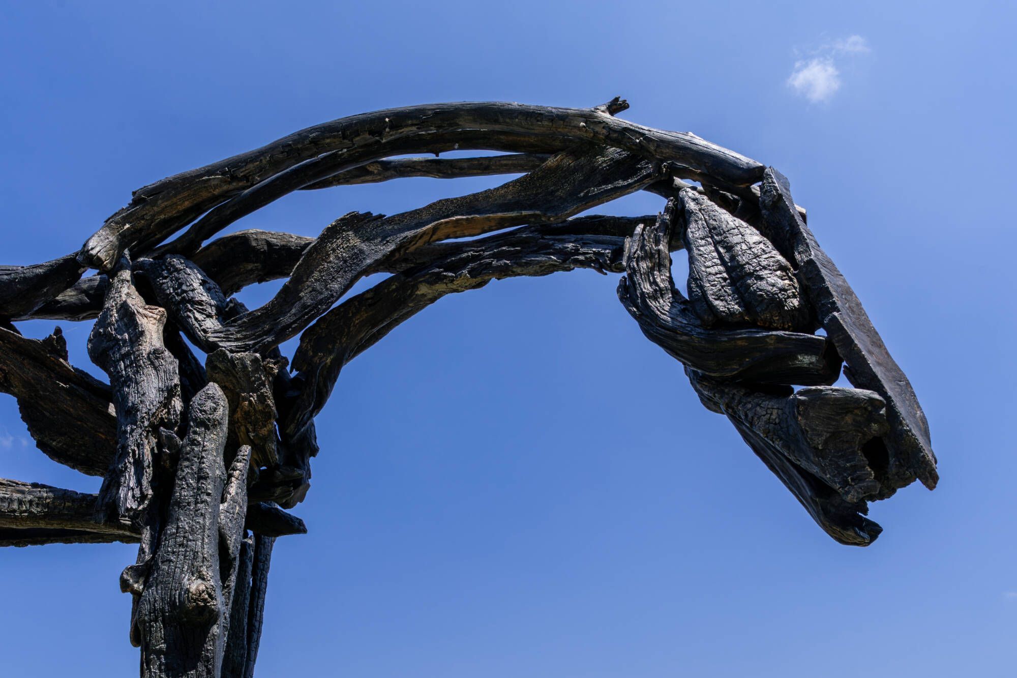 "Char" on the fifth-floor terrace of the Daniel and Pamella DeVos Center for Interprofessional Health in downtown Grand Rapids on June 5. The piece was made by sculptor Deborah Butterfield.